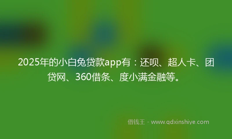 2025年的小白兔贷款app有：还呗、超人卡、团贷网、360借条、度小满金融等。