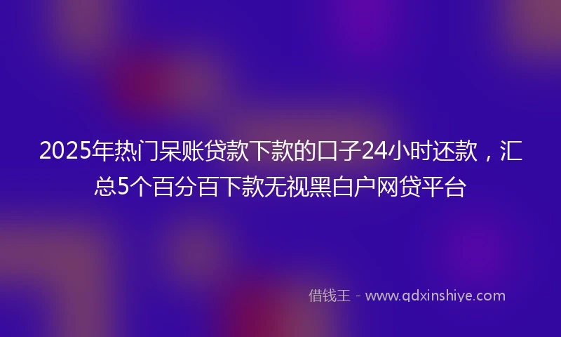 2025年热门呆账贷款下款的口子24小时还款，汇总5个百分百下款无视黑白户网贷平台
