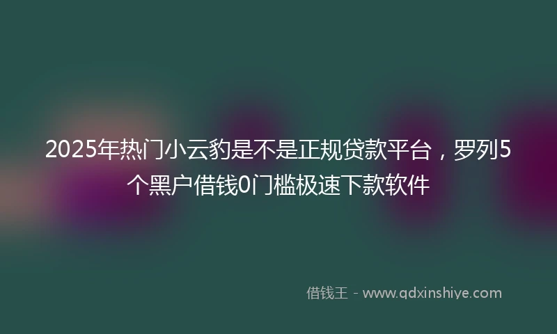 2025年热门小云豹是不是正规贷款平台，罗列5个黑户借钱0门槛极速下款软件