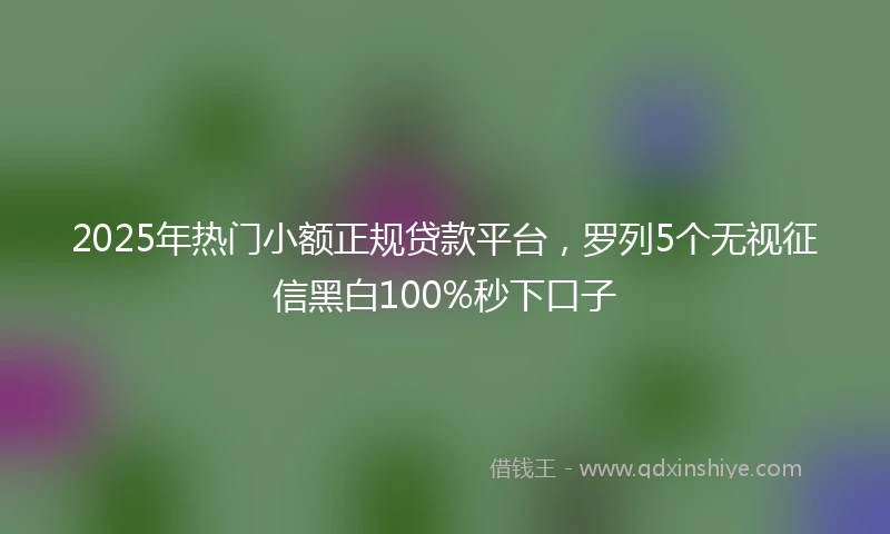 2025年热门小额正规贷款平台，罗列5个无视征信黑白100%秒下口子