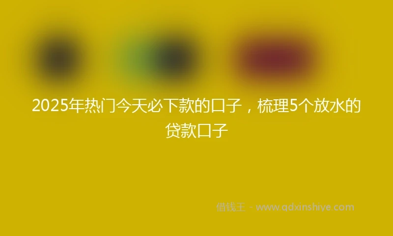 2025年热门今天必下款的口子，梳理5个放水的贷款口子