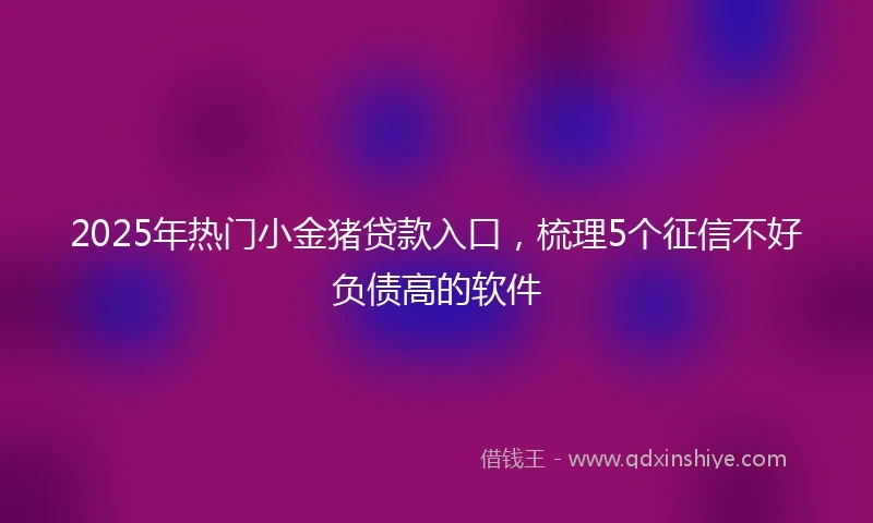 2025年热门小金猪贷款入口，梳理5个征信不好负债高的软件