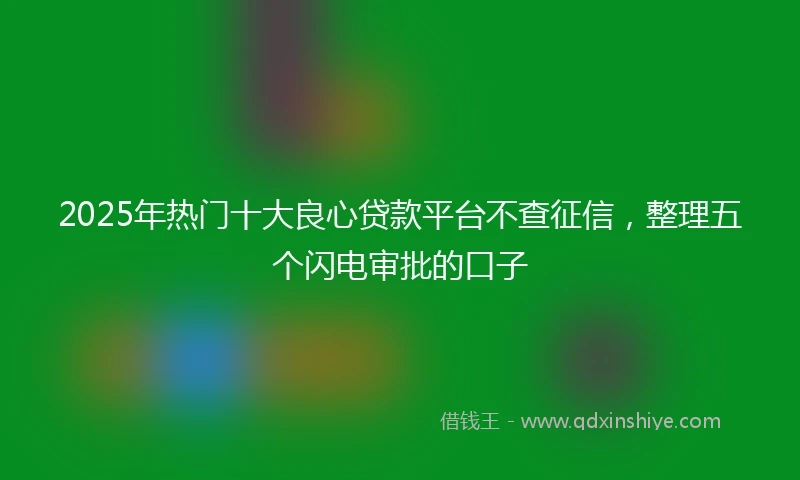 2025年热门十大良心贷款平台不查征信，整理五个闪电审批的口子
