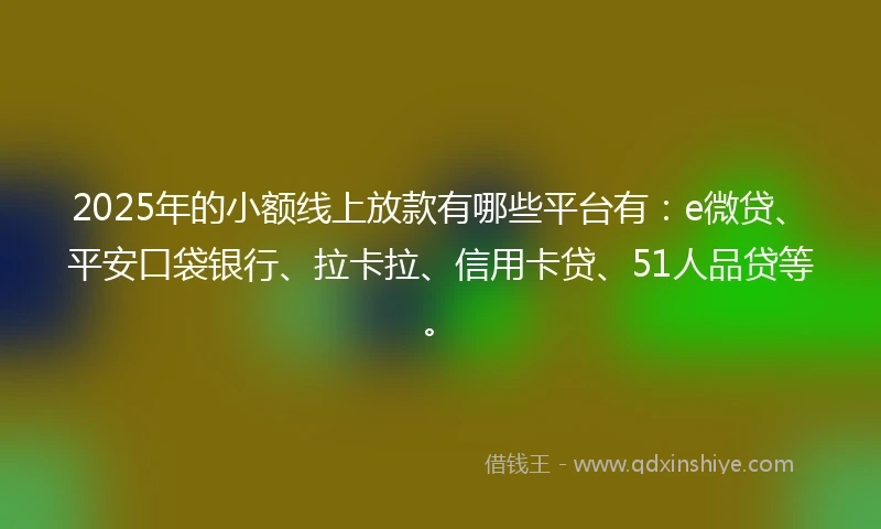 2025年的小额线上放款有哪些平台有：e微贷、平安口袋银行、拉卡拉、信用卡贷、51人品贷等。