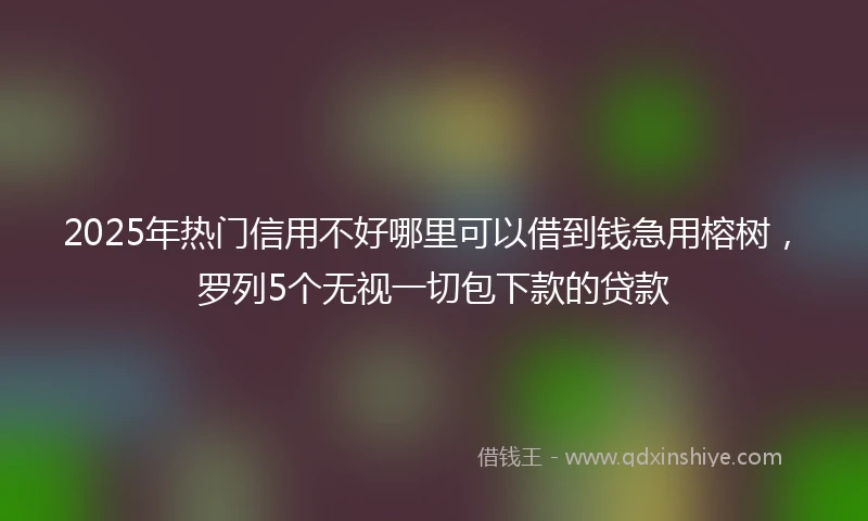 2025年热门信用不好哪里可以借到钱急用榕树，罗列5个无视一切包下款的贷款