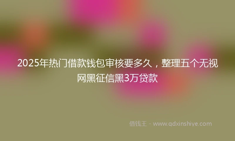 2025年热门借款钱包审核要多久，整理五个无视网黑征信黑3万贷款