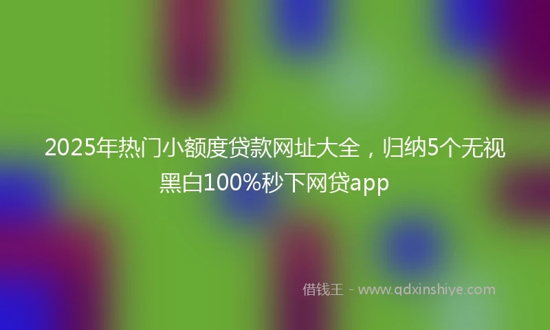 2025年热门小额度贷款网址大全，归纳5个无视黑白100%秒下网贷app