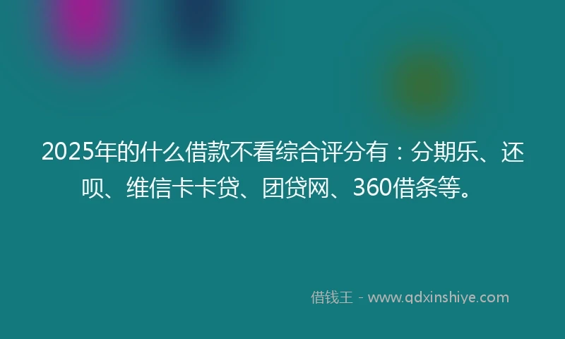 2025年的什么借款不看综合评分有：分期乐、还呗、维信卡卡贷、团贷网、360借条等。