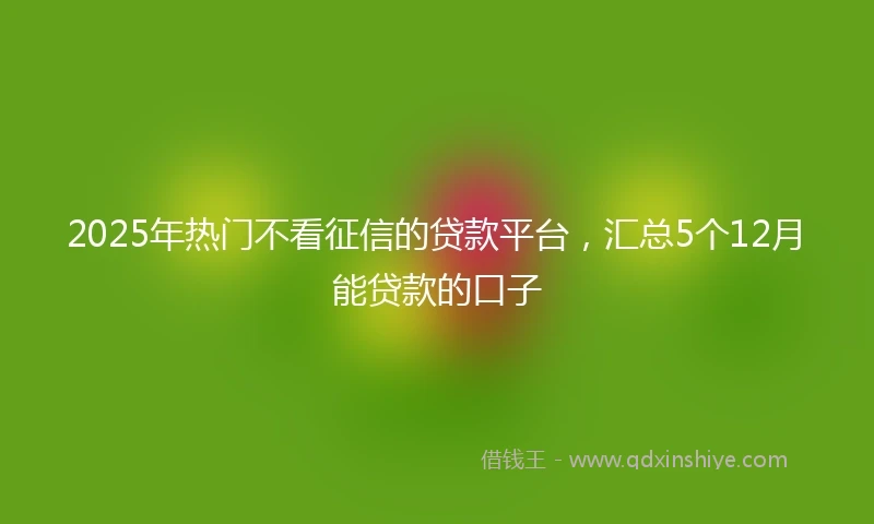 2025年热门不看征信的贷款平台，汇总5个12月能贷款的口子