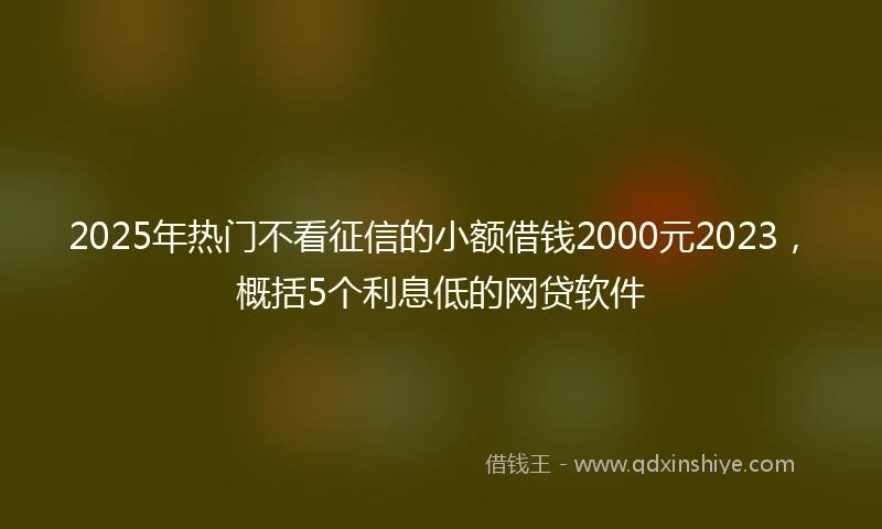 2025年热门不看征信的小额借钱2000元2023，概括5个利息低的网贷软件