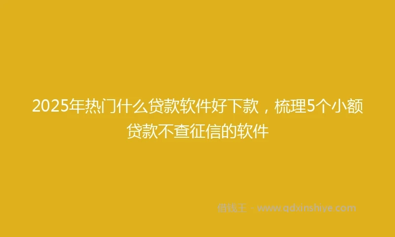 2025年热门什么贷款软件好下款，梳理5个小额贷款不查征信的软件