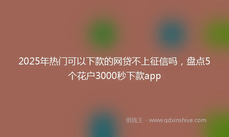 2025年热门可以下款的网贷不上征信吗，盘点5个花户3000秒下款app