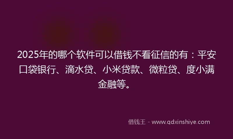 2025年的哪个软件可以借钱不看征信的有：平安口袋银行、滴水贷、小米贷款、微粒贷、度小满金融等。
