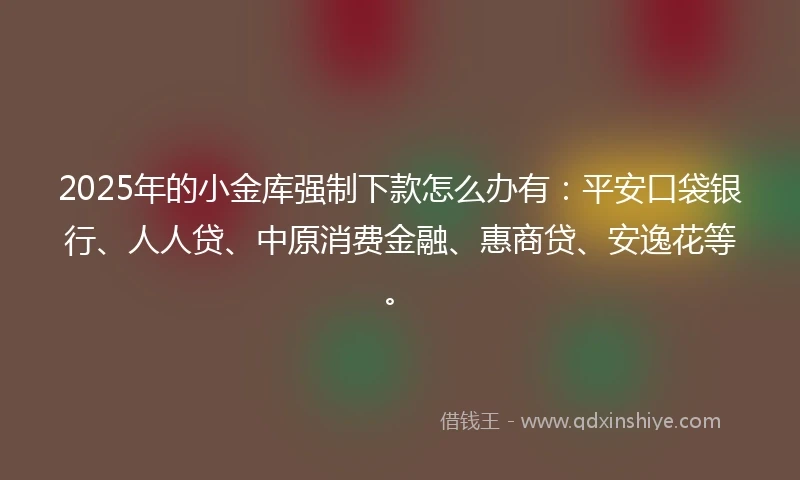 2025年的小金库强制下款怎么办有：平安口袋银行、人人贷、中原消费金融、惠商贷、安逸花等。