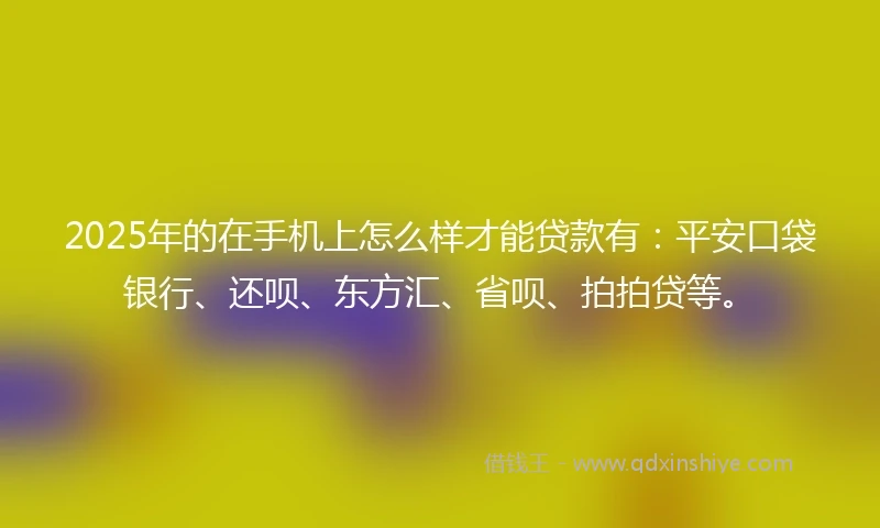 2025年的在手机上怎么样才能贷款有：平安口袋银行、还呗、东方汇、省呗、拍拍贷等。