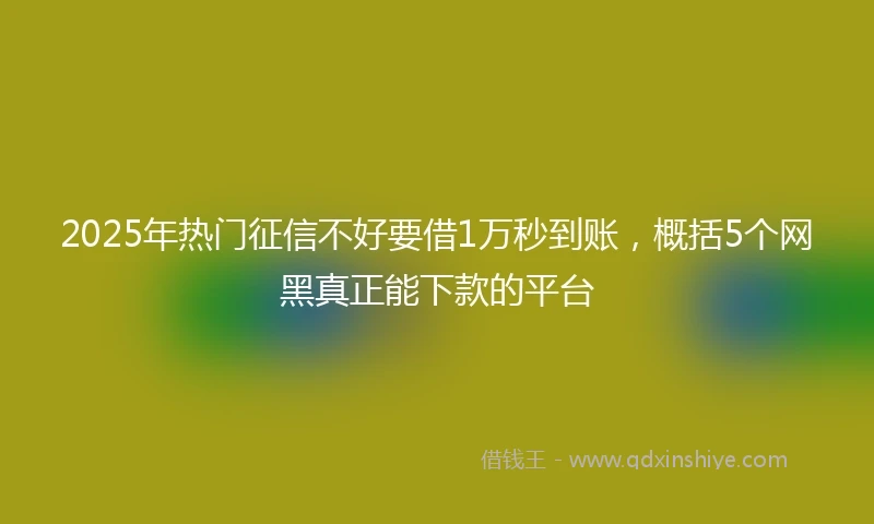 2025年热门征信不好要借1万秒到账，概括5个网黑真正能下款的平台