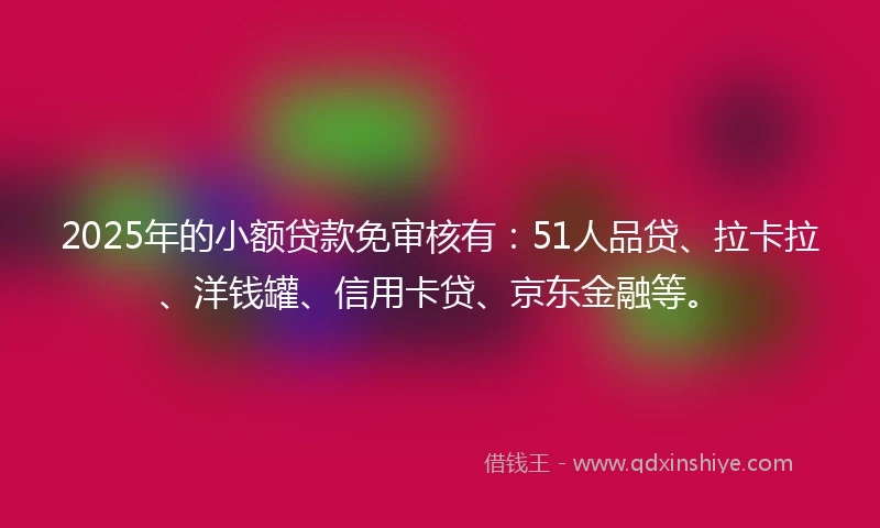 2025年的小额贷款免审核有：51人品贷、拉卡拉、洋钱罐、信用卡贷、京东金融等。