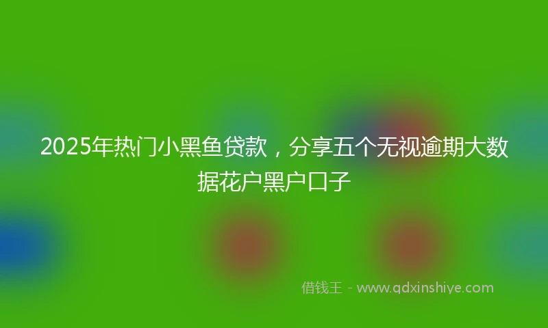 2025年热门小黑鱼贷款，分享五个无视逾期大数据花户黑户口子