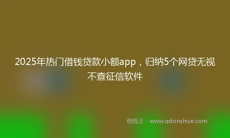2025年热门借钱贷款小额app，归纳5个网贷无视不查征信软件