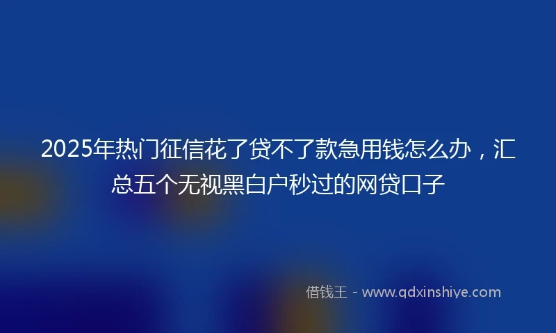 2025年热门征信花了贷不了款急用钱怎么办，汇总五个无视黑白户秒过的网贷口子