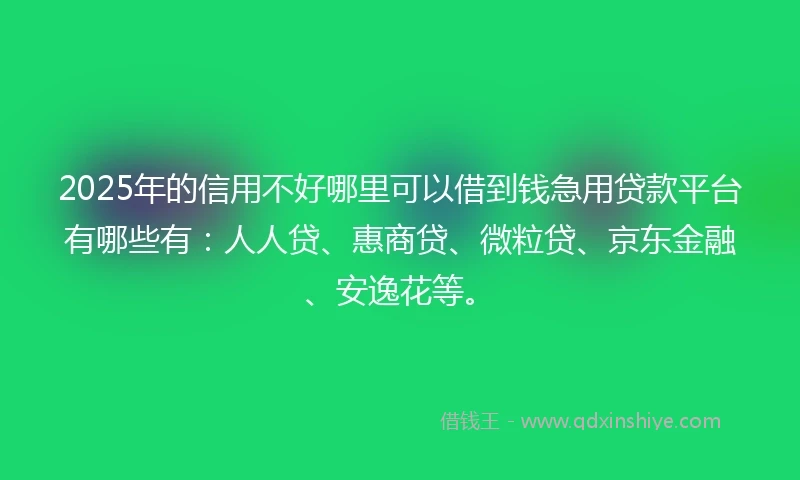 2025年的信用不好哪里可以借到钱急用贷款平台有哪些有：人人贷、惠商贷、微粒贷、京东金融、安逸花等。