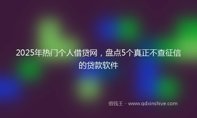 2025年热门个人借贷网，盘点5个真正不查征信的贷款软件