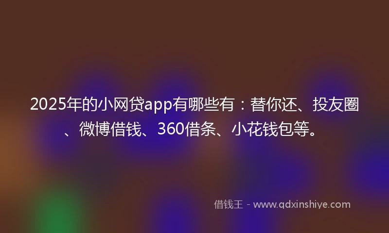 2025年的小网贷app有哪些有：替你还、投友圈、微博借钱、360借条、小花钱包等。