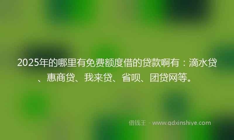 2025年的哪里有免费额度借的贷款啊有：滴水贷、惠商贷、我来贷、省呗、团贷网等。