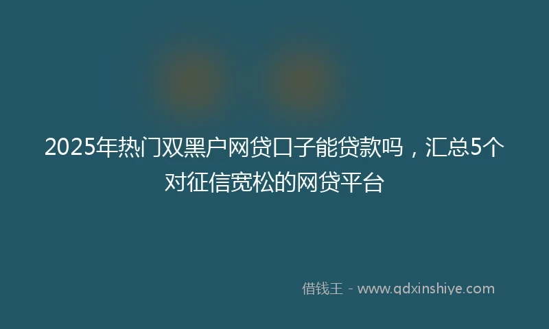 2025年热门双黑户网贷口子能贷款吗，汇总5个对征信宽松的网贷平台