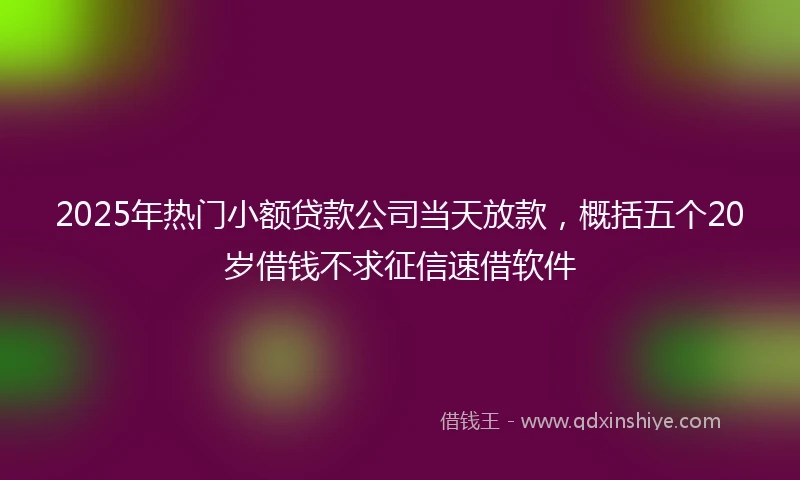 2025年热门小额贷款公司当天放款，概括五个20岁借钱不求征信速借软件
