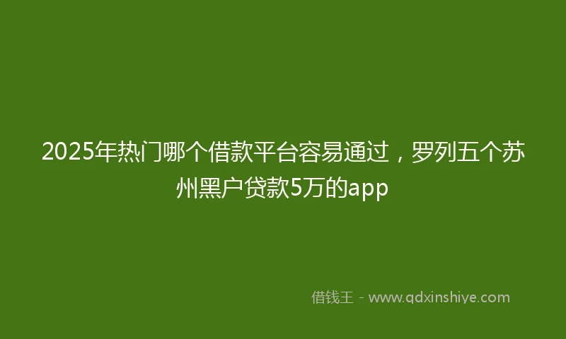 2025年热门哪个借款平台容易通过，罗列五个苏州黑户贷款5万的app