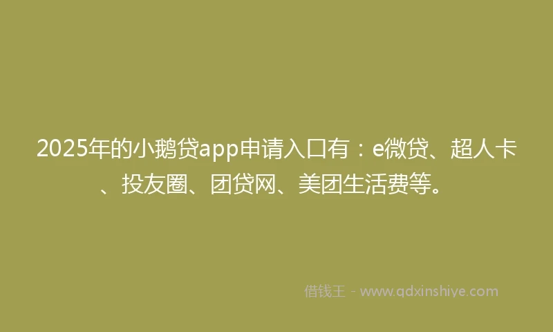 2025年的小鹅贷app申请入口有：e微贷、超人卡、投友圈、团贷网、美团生活费等。