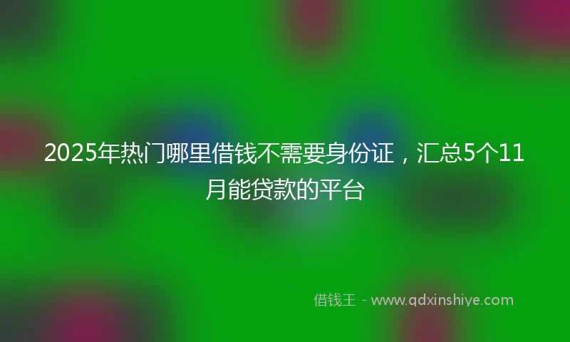 2025年热门哪里借钱不需要身份证，汇总5个11月能贷款的平台