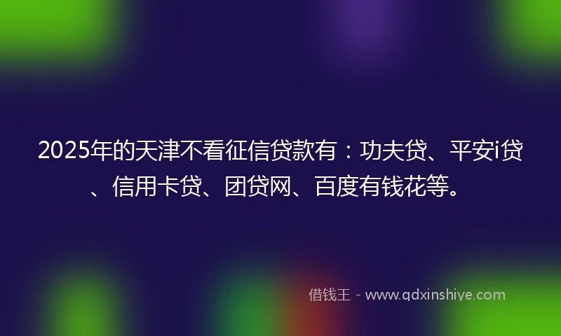 2025年的天津不看征信贷款有：功夫贷、平安i贷、信用卡贷、团贷网、百度有钱花等。