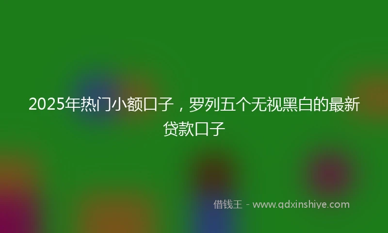 2025年热门小额口子，罗列五个无视黑白的最新贷款口子
