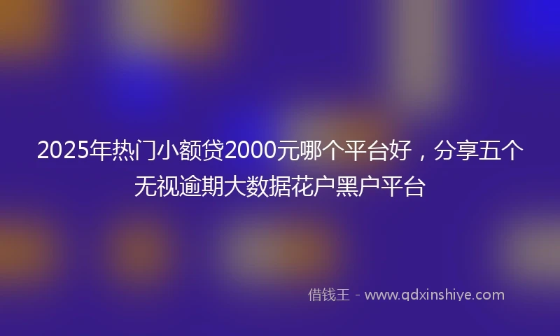 2025年热门小额贷2000元哪个平台好，分享五个无视逾期大数据花户黑户平台