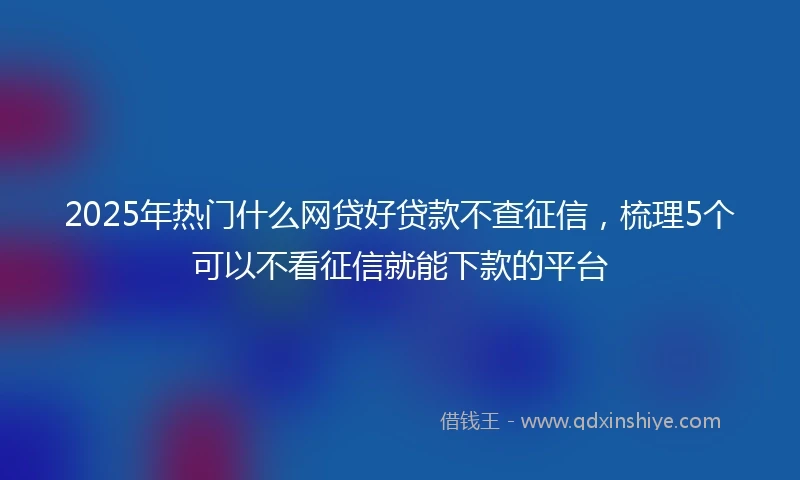 2025年热门什么网贷好贷款不查征信，梳理5个可以不看征信就能下款的平台