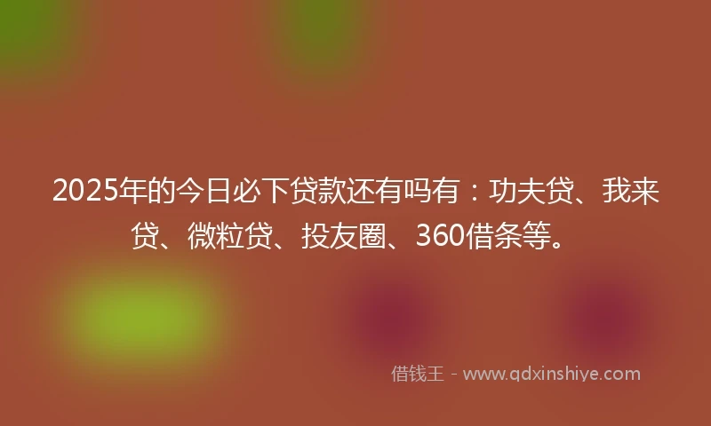 2025年的今日必下贷款还有吗有：功夫贷、我来贷、微粒贷、投友圈、360借条等。