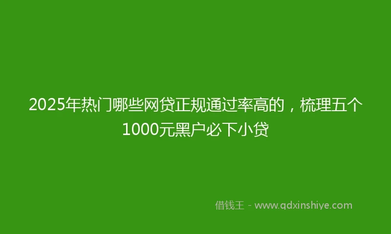 2025年热门哪些网贷正规通过率高的，梳理五个1000元黑户必下小贷