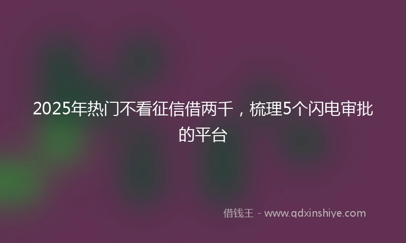 2025年热门不看征信借两千，梳理5个闪电审批的平台