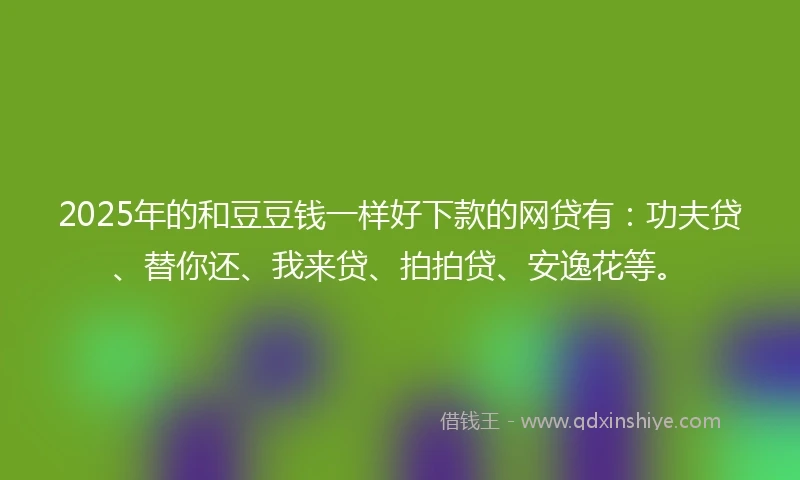 2025年的和豆豆钱一样好下款的网贷有：功夫贷、替你还、我来贷、拍拍贷、安逸花等。