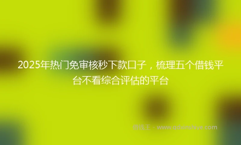 2025年热门免审核秒下款口子，梳理五个借钱平台不看综合评估的平台