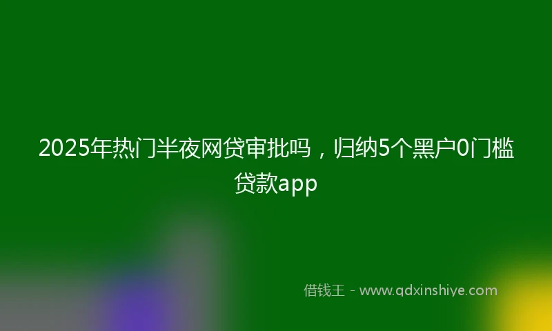 2025年热门半夜网贷审批吗，归纳5个黑户0门槛贷款app
