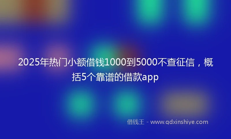 2025年热门小额借钱1000到5000不查征信，概括5个靠谱的借款app