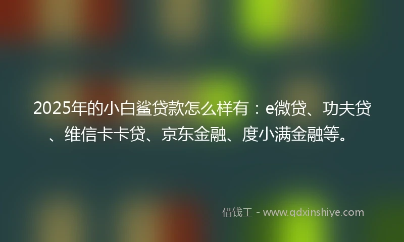 2025年的小白鲨贷款怎么样有：e微贷、功夫贷、维信卡卡贷、京东金融、度小满金融等。