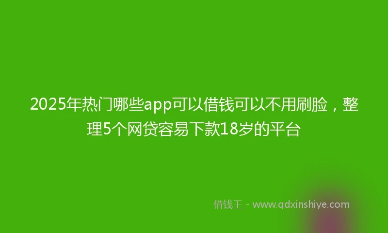 2025年热门哪些app可以借钱可以不用刷脸，整理5个网贷容易下款18岁的平台