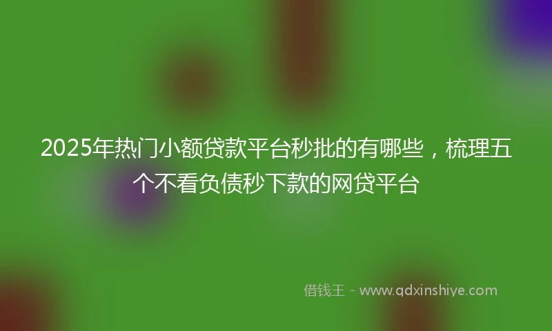 2025年热门小额贷款平台秒批的有哪些，梳理五个不看负债秒下款的网贷平台