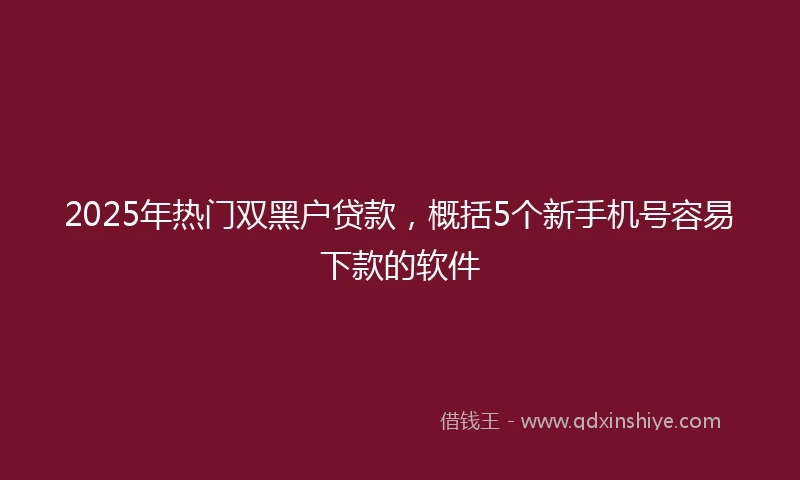 2025年热门双黑户贷款，概括5个新手机号容易下款的软件
