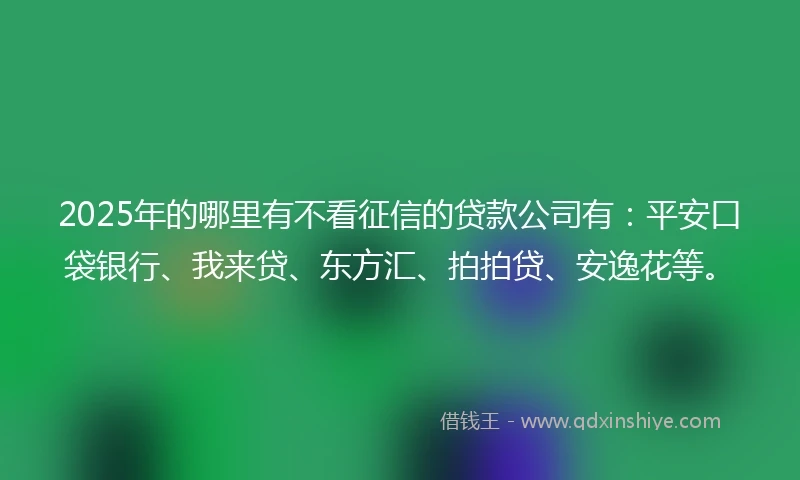 2025年的哪里有不看征信的贷款公司有：平安口袋银行、我来贷、东方汇、拍拍贷、安逸花等。