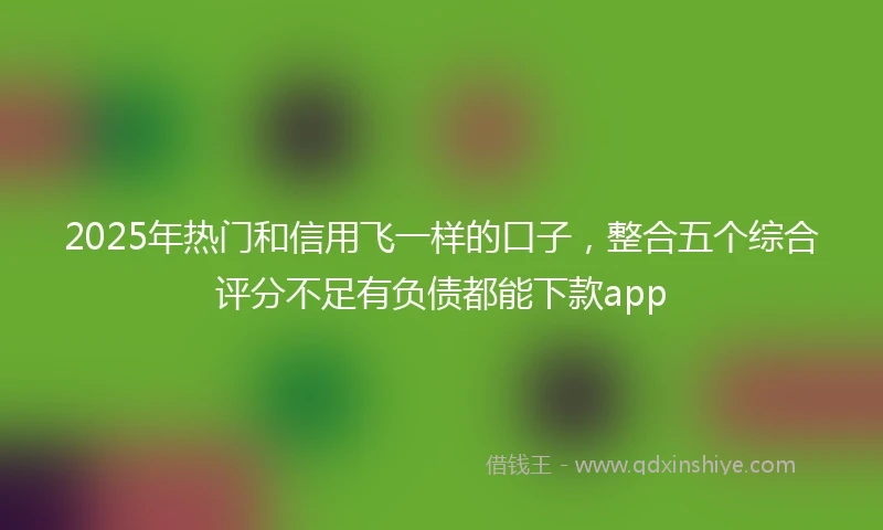 2025年热门和信用飞一样的口子，整合五个综合评分不足有负债都能下款app